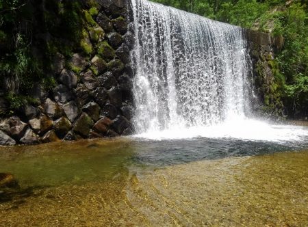 九頭竜川水系でイワナ釣り